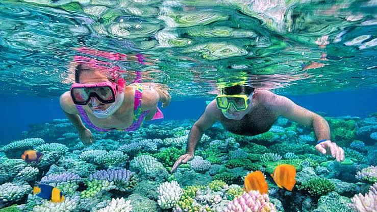 Speed boat snorkeling Tiran Island