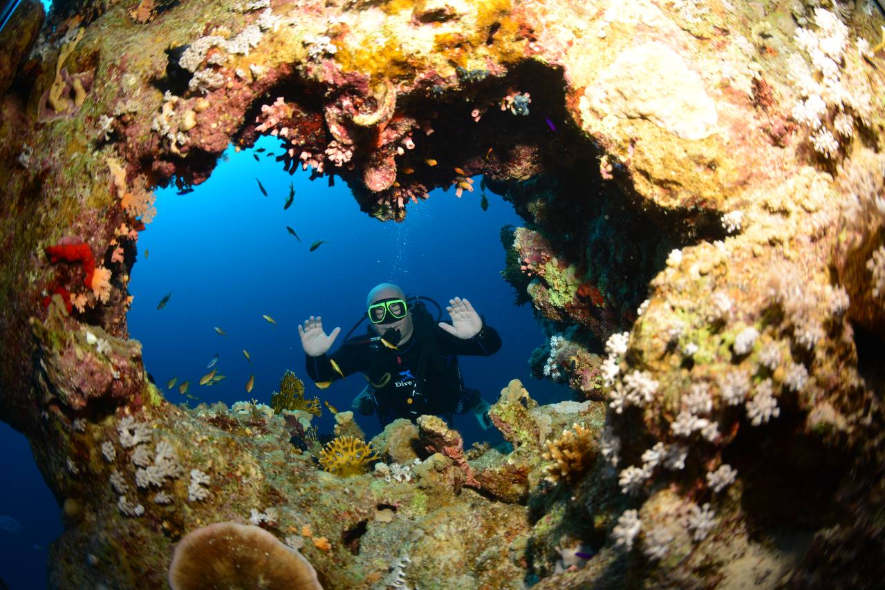 Tiran island Snorkeling Trip